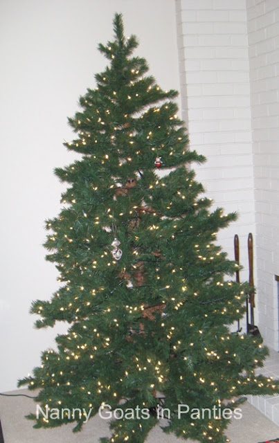 My Christmas tree, the poor thing Christmas Tree, christmas wreath